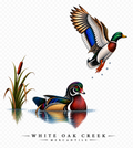 White Oak Creek Mercantile  Ducks